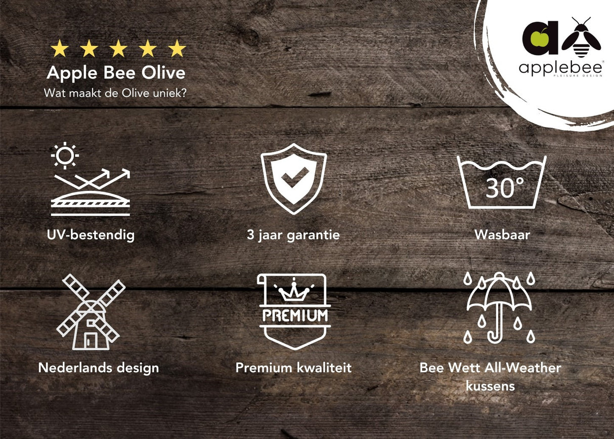 Apple Bee Olive Loungeset Coastal nr.3