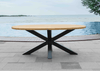 Belito Mees Teakhouten ovale tuintafel 200x100cm