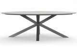 Xander Dining Tuintafel Ovaal 220 x 120 x 76 cm