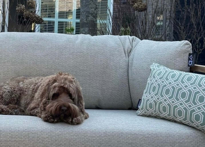 Apple Bee Condor loungeset 4-delig Nr. 4 - Premium