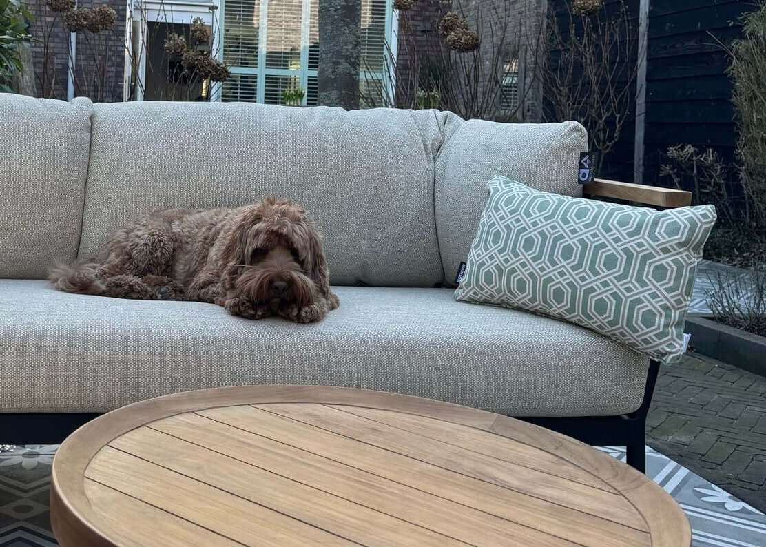 Apple Bee Condor loungeset 5-delig Nr. 13